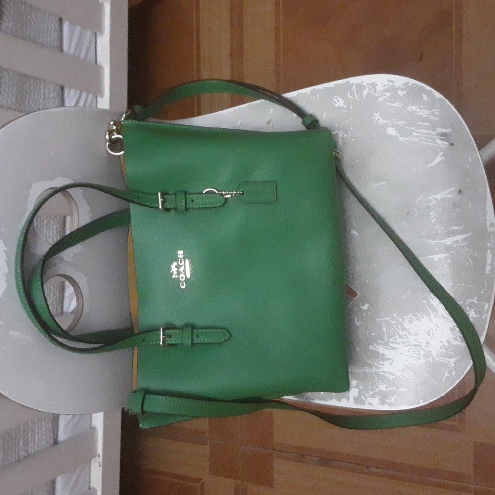 COPY - I m selling green coach bag